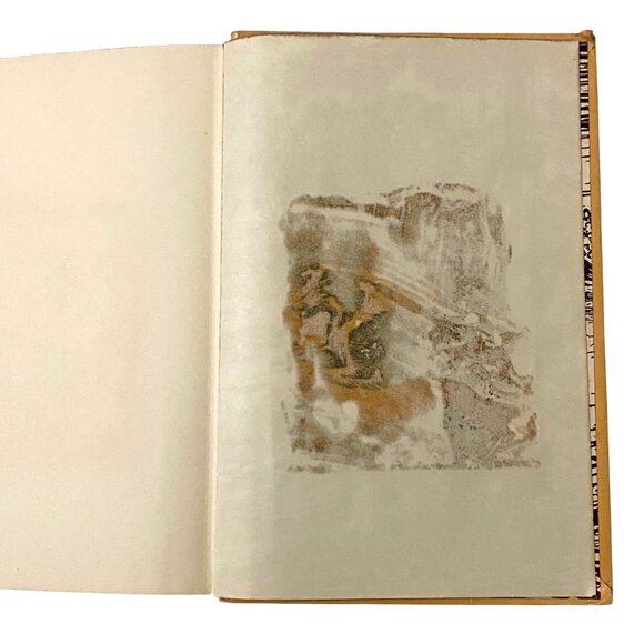 A Dog Named Chips The Life and Adventures of a Mongrel Scamp HC Book Terhune - Picture 7 of 8